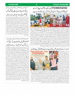 Page (6)