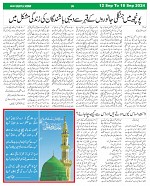 Page (4)