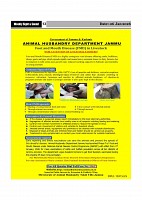 Sight & Sound Paper Dt 26Jan 2026_page-0013