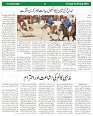 Page (7)