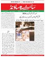 Page (1)