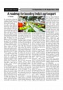 Page (13)
