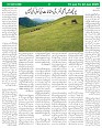 Sight & Sound paper Dt 16 to 22 Jan 2025-images-6