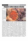 Sight & Sound Paper Dt 09 Oct 2025_page-0012